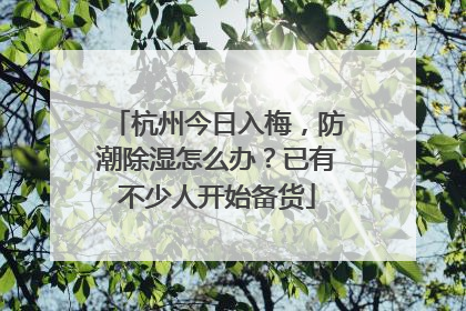 杭州今日入梅，防潮除湿怎么办？已有不少人开始备货